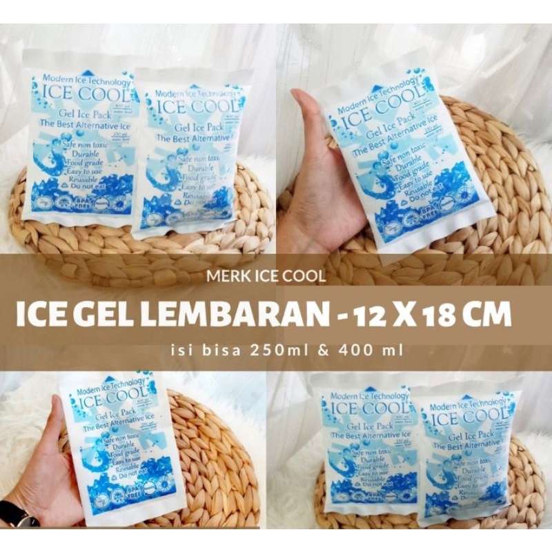 

Ice Gel Pack Tambahan Packing untuk Frozen Food