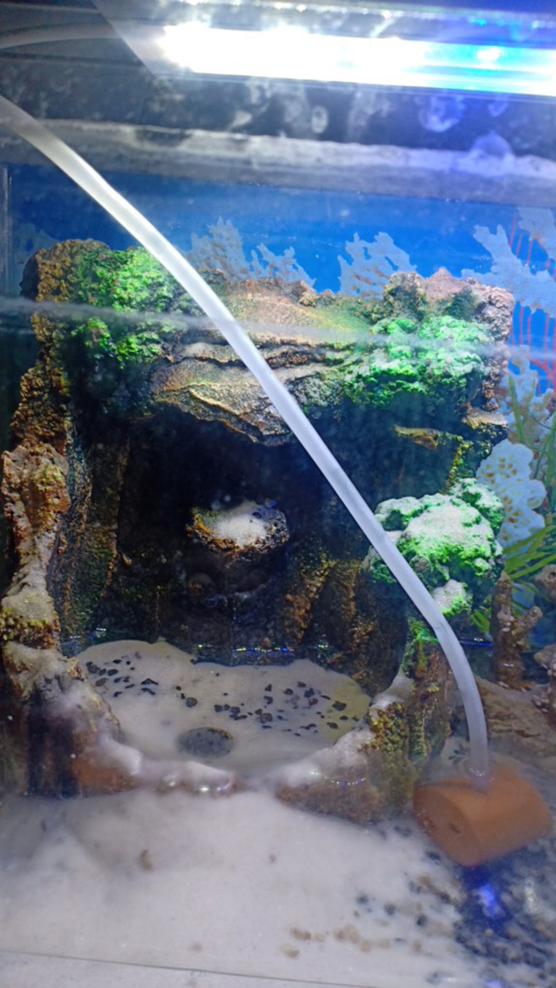 Tebing Buatan Miniatur Air Terjun 20cm Hiasan Aquarium Aquascape Bonus Shopee Indonesia Aquascape air terjun harga
