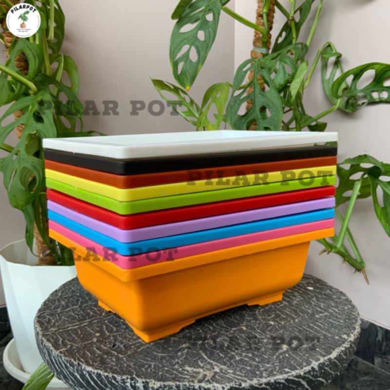 pot bunga tanaman ceper NKT BONSAI 01 WARNA WARNI - NKT BONSAI 01