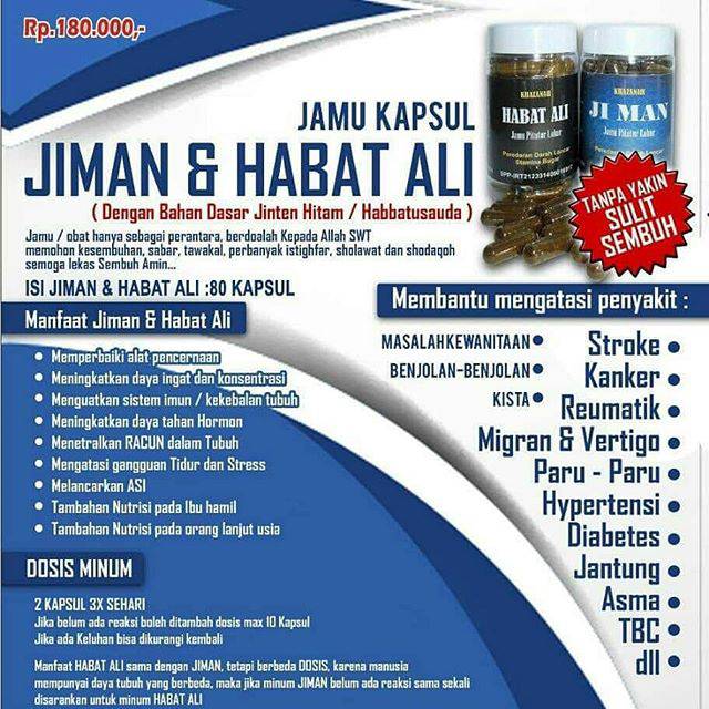 Distributor Jiman Dan Habat ali