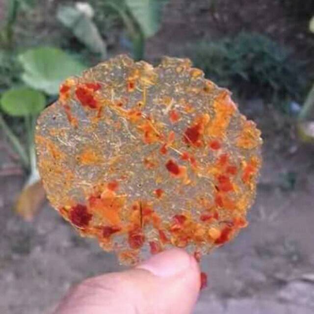 

Kirca (kiripik kaca)