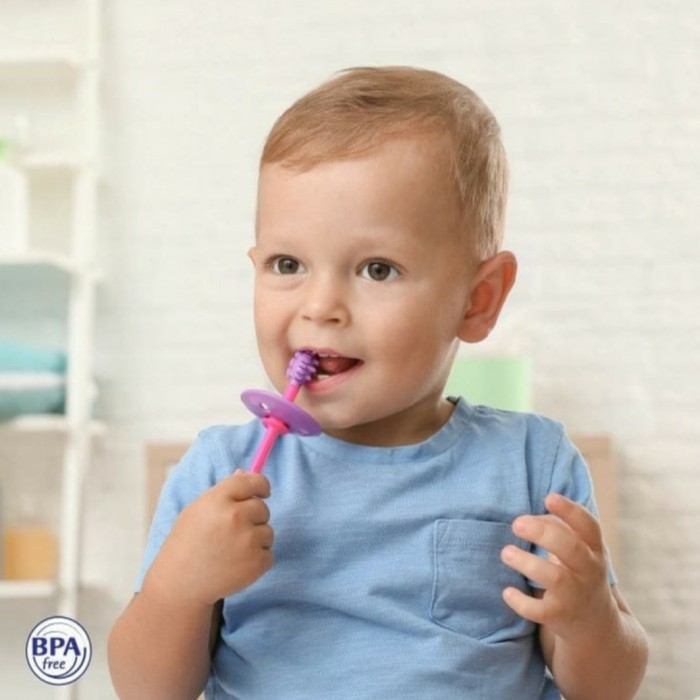 BABYSAFE Gum Massage Toothbrush Sikat Gigi Bayi Baby Safe Tooth Brush