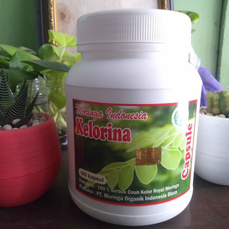 Kapsul Serbuk Daun Kelor Isi 500 - Kapsul Daun Moringa - Kelor Kelorina - Moringa Organik Indonesia