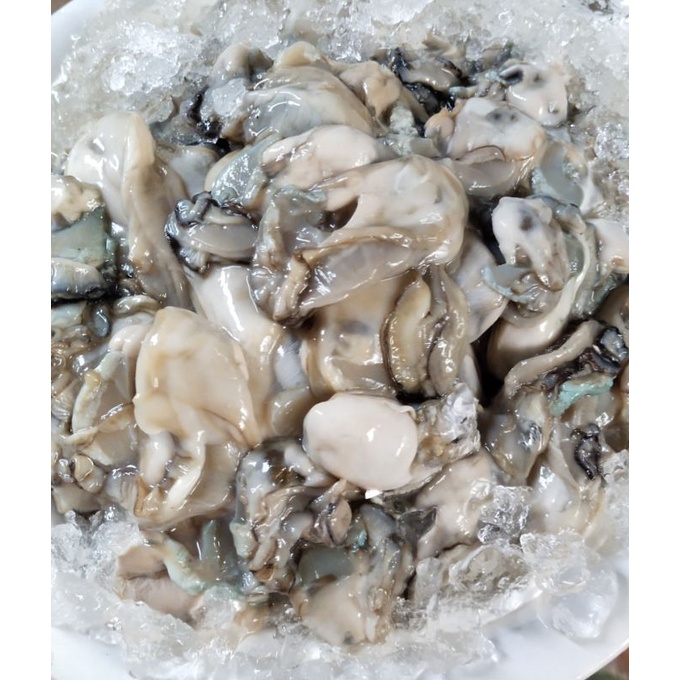 

daging tiram kupas/oyster
