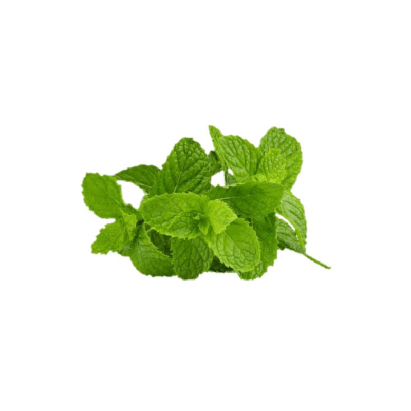 

Bubuk daun mint
