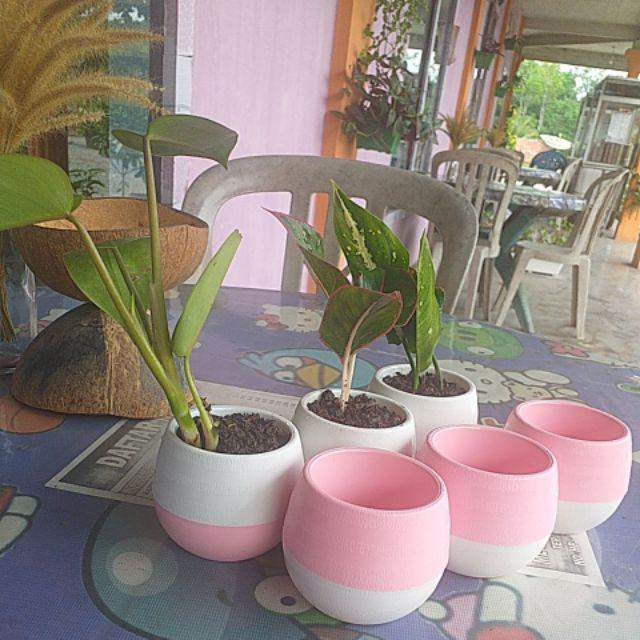 Pot Bulat Bola Pot Bunga Plastik Pot Telur Pxlxt (8x8x7)