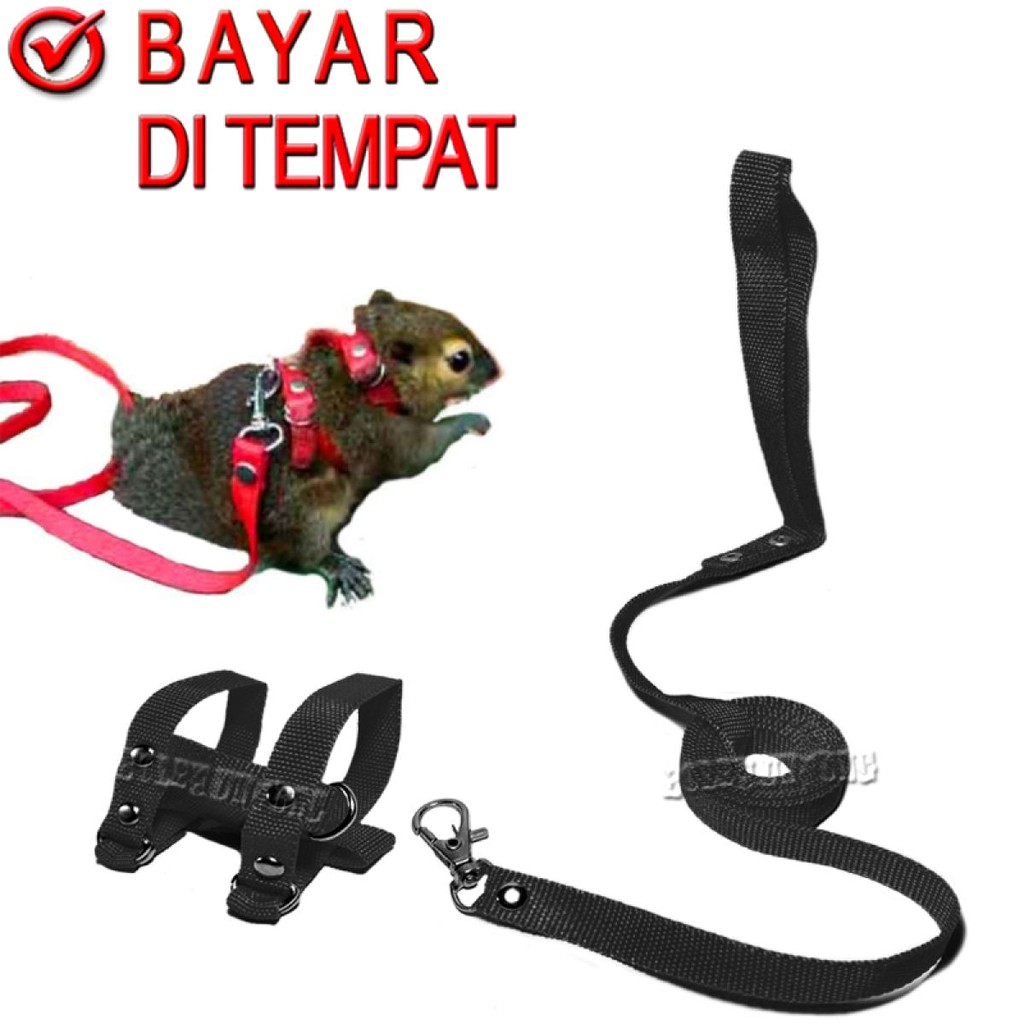 Harness H Sugar Glider Tupai Harnes Tali Tuntun Hamster kucing hewan