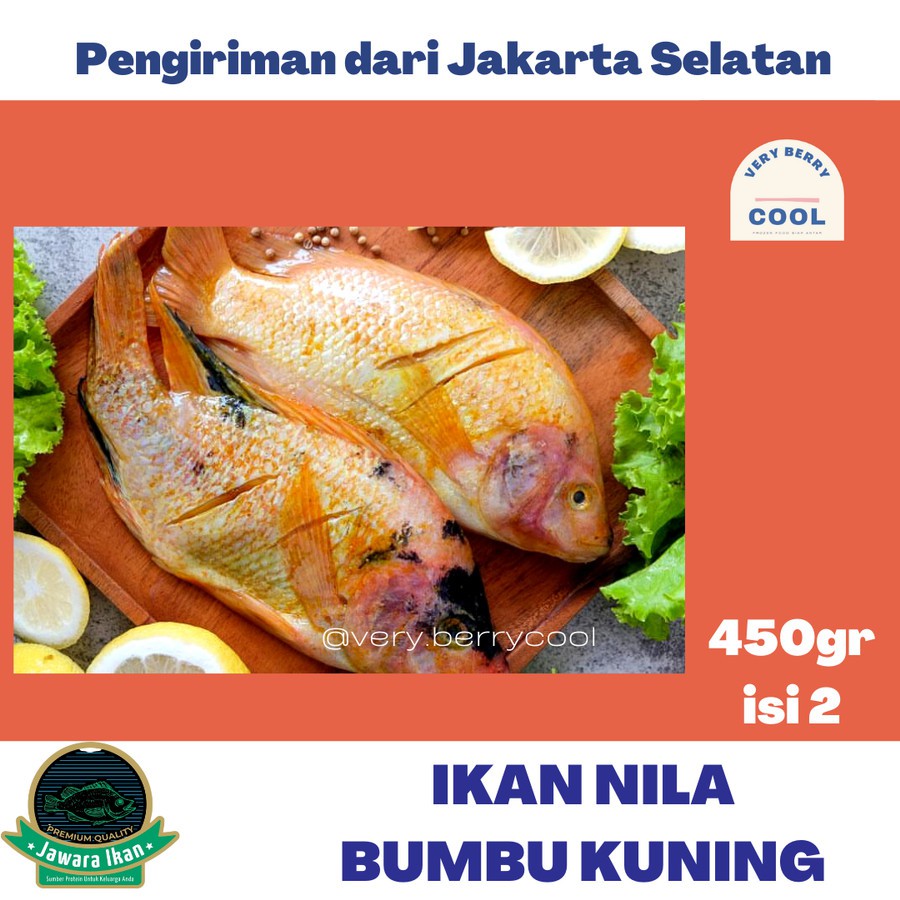 Ikan Nila Segar Bumbu Kuning Siap Goreng Frozen - 2 ekor