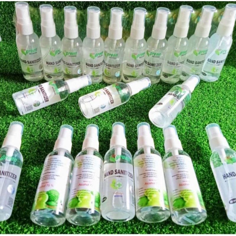Hand Sanitizer Go Green Spray