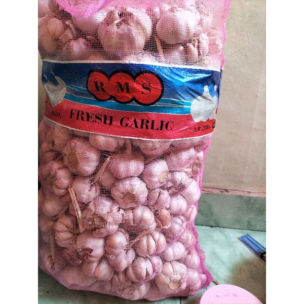 

Bawang Putih
