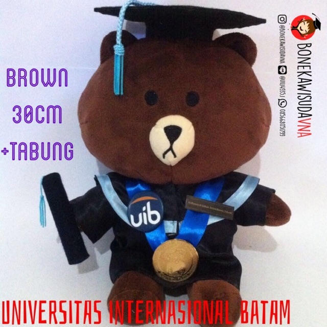 Boneka Wisuda BrownLine 30cm/ Boneka Profesi(Seragam)