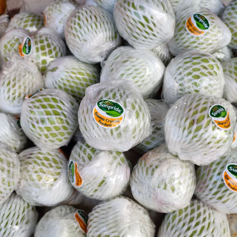 

Jambu Kristal / Jambu Kristal Sunpride