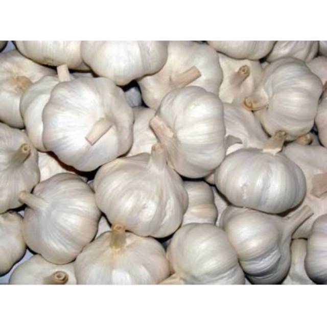 

Bawang putih import