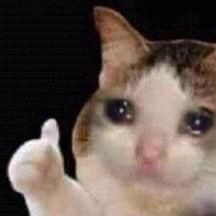 Isi 20 Buah Penjepit Pakaian