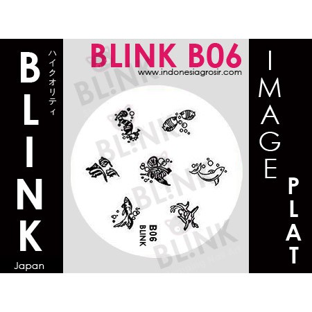 BLINK Image Plate B01-B09