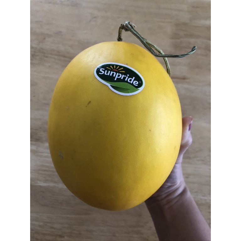 Melon Golden Sunpride
