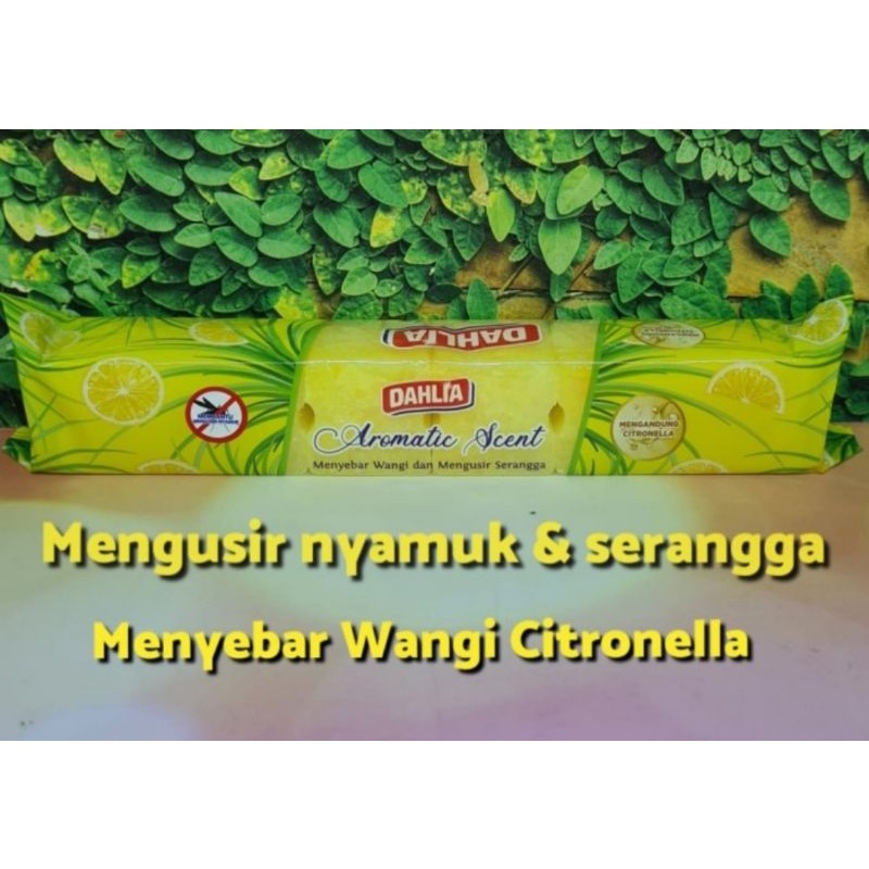 DAHLIA Kamper Aromatic Scent Citronella Mengusir Nyamuk Dan Serangga