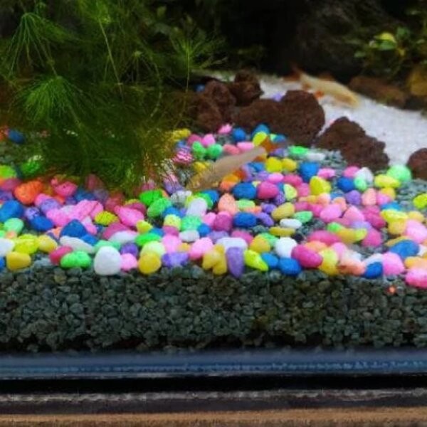 Batu Hias Warna Warni Taiwan Import Aquarium Hiasan Akuarium Aquascape