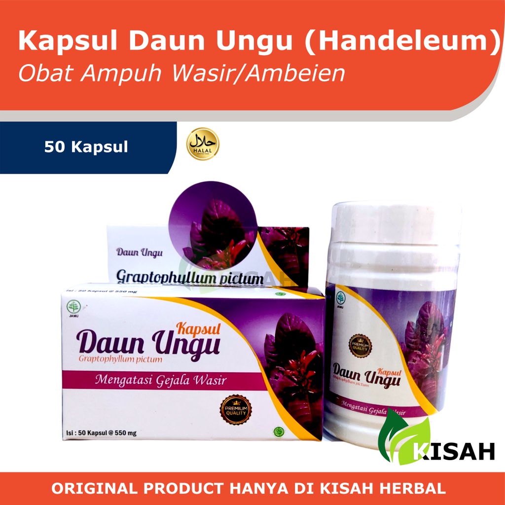 Daun ungu obat wasir