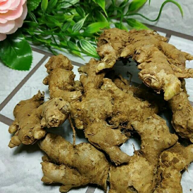 

Jahe emprit segar original 1kg