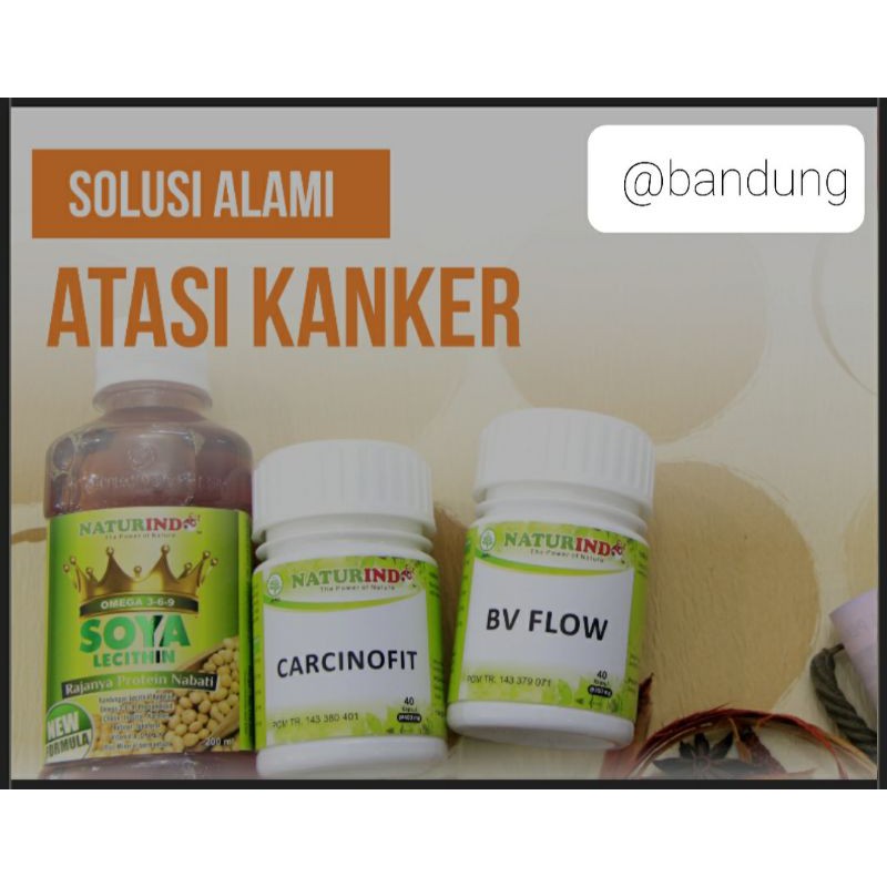 Paket Herbal Spesial Kanker Naturindo
