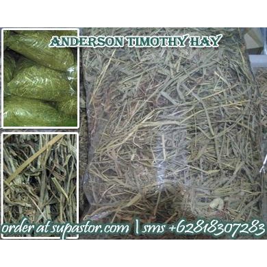 

Rumput Timothy Hay Import dari USA, Stock Ready Lokasi Surabaya