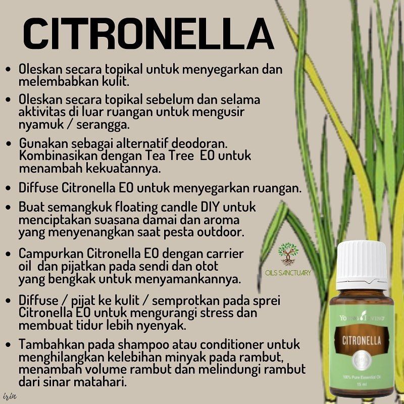 citronella essential oil 15ml Young Living