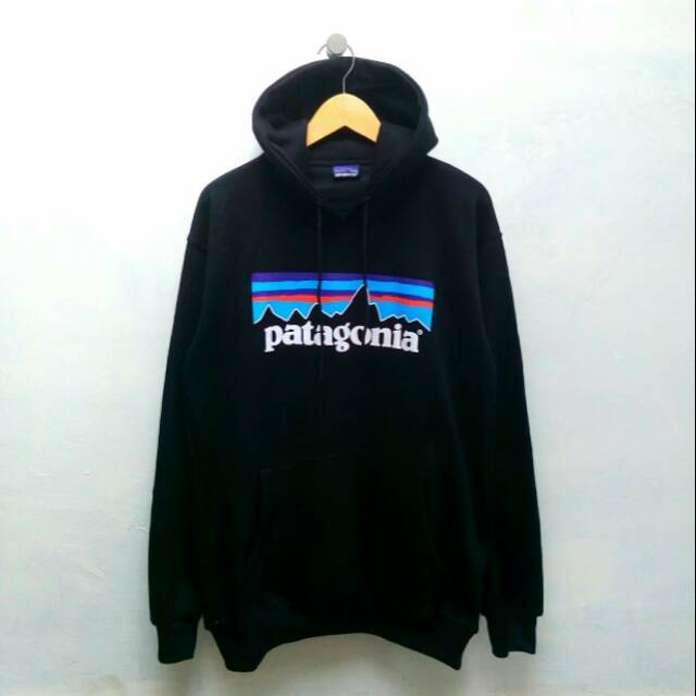 Hoodie patagonia