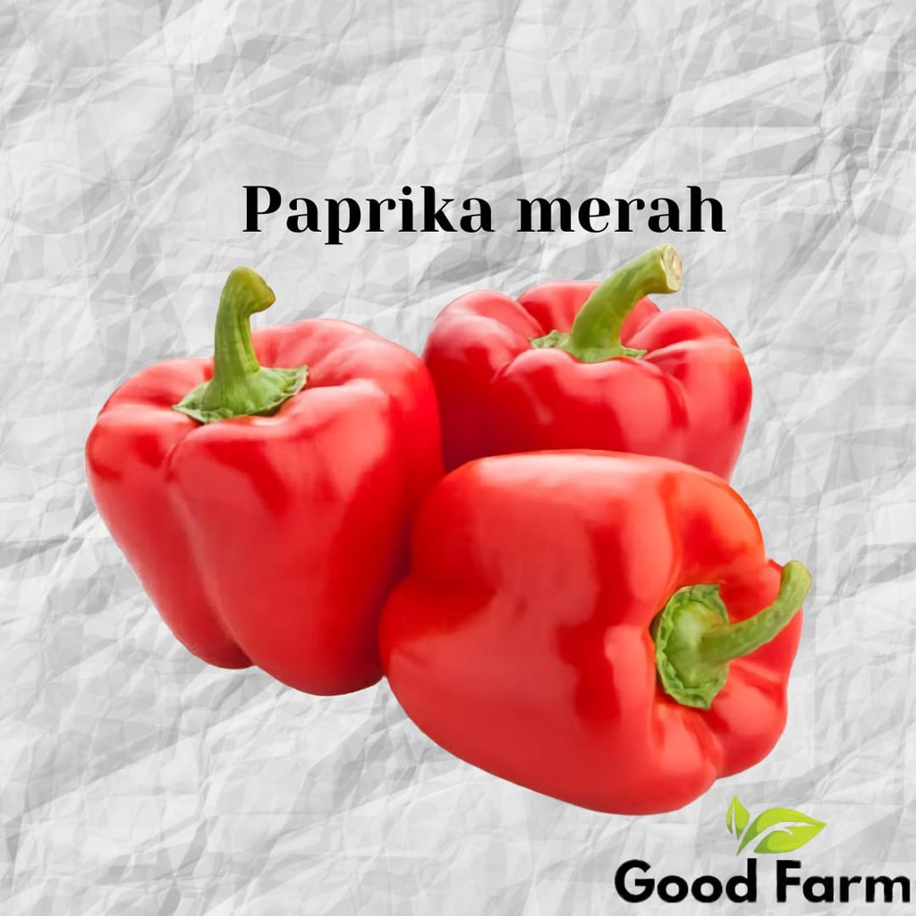 BENIH PAPRIKA ISI 4 / PAPRIKA MERAH / KEMASAN EKONOMIS