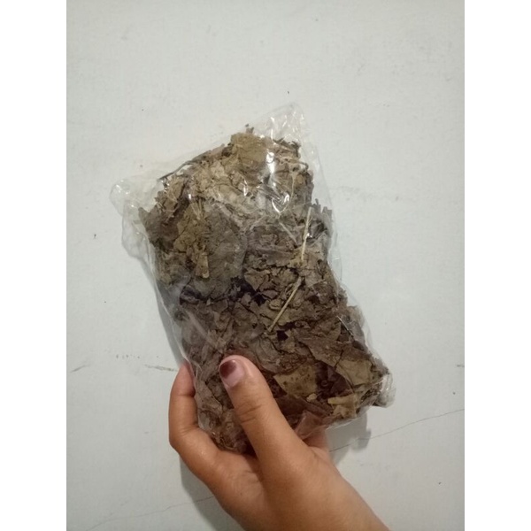 

TEH HERBAL DAUN JATI BELANDA KEMASAN KECIL 100GR