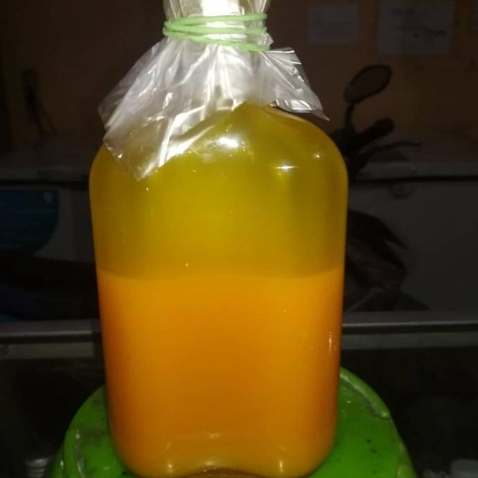 Essen Oplosan Belah Duren Untuk Ikan Bandeng