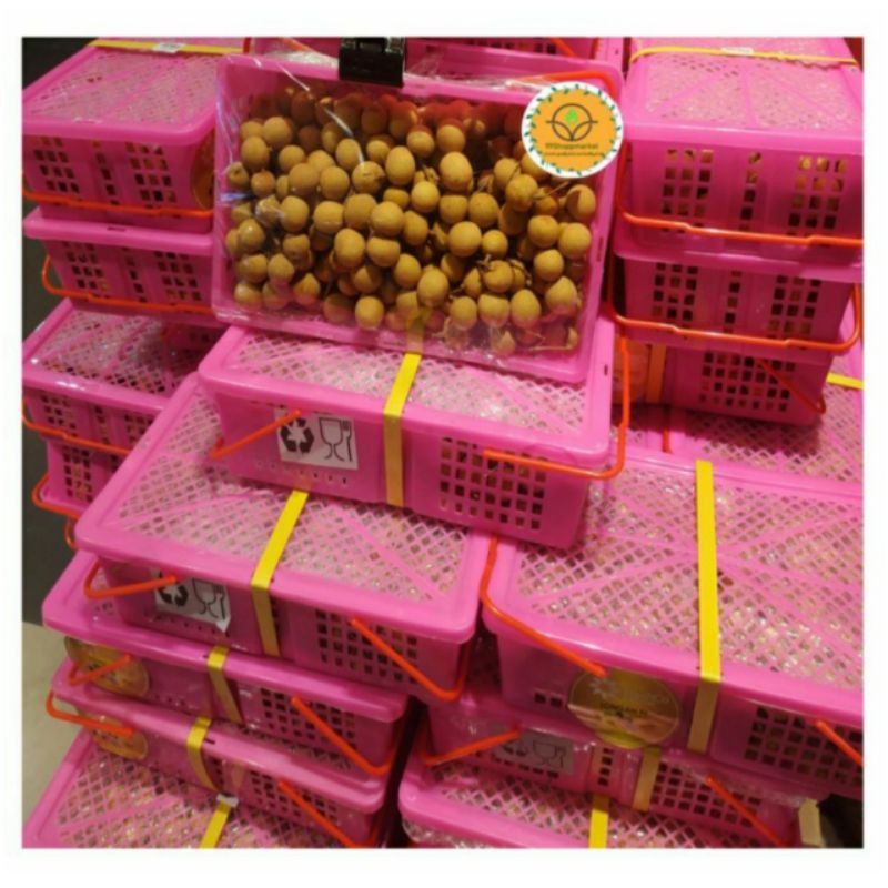 

Lengkeng kelengkeng Longan Bangkok fresh 2.5 kg kg Gift Box