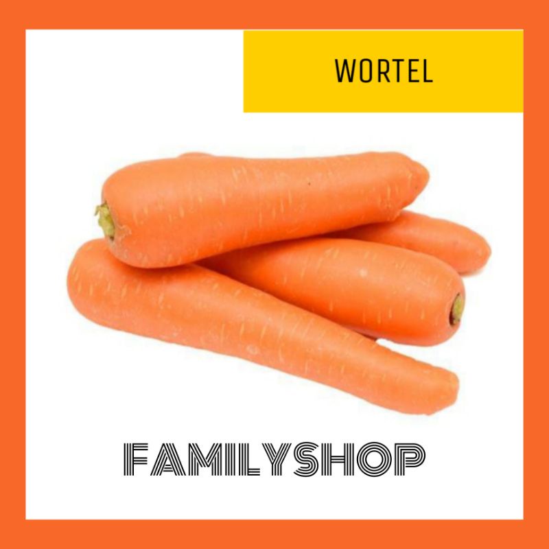 

WORTEL SEGAR