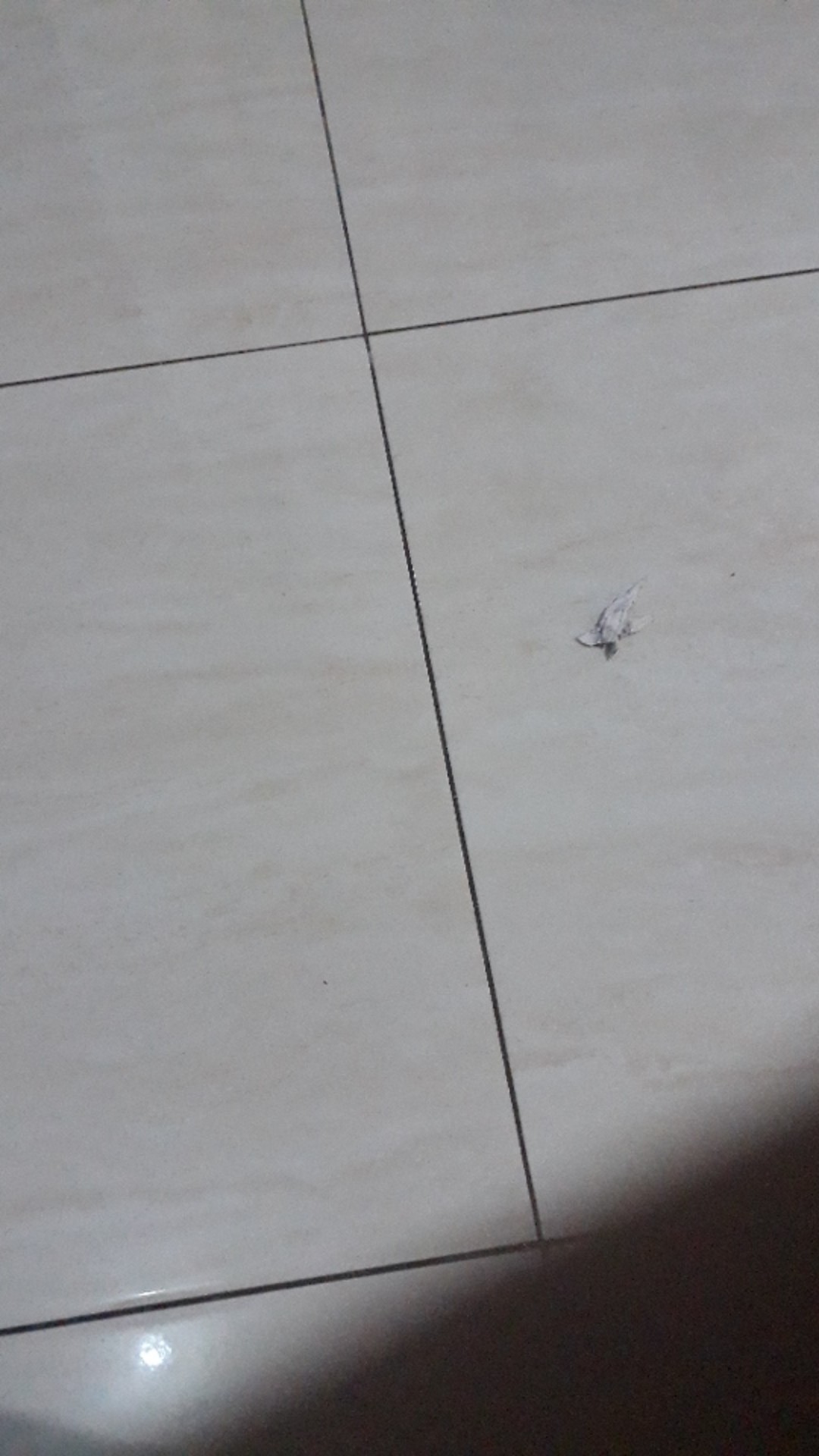 Sriwedari Gamis Batik Modern Standar_jumbo Busui Friendly Resleting Depan