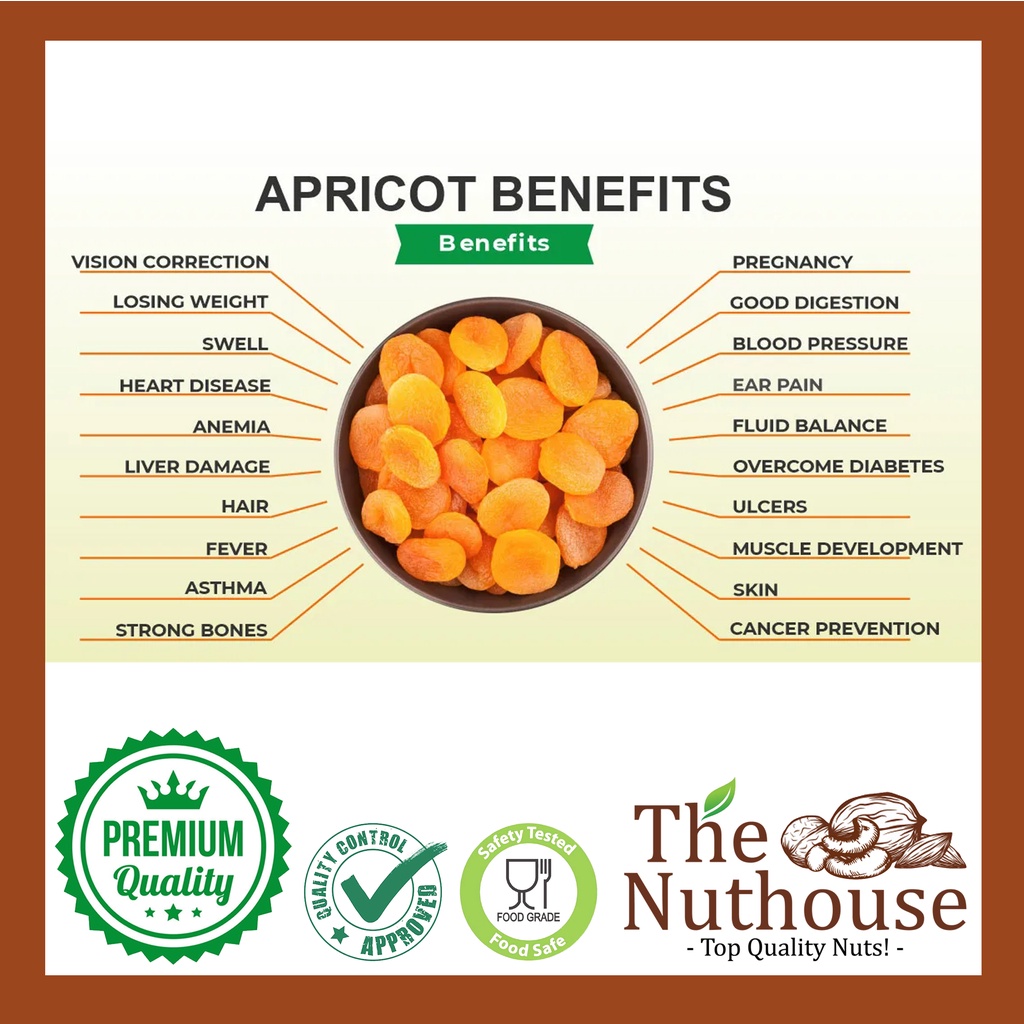 100gr Dried Apricot / Buah Aprikot Kering [Organic Premium Fruits]