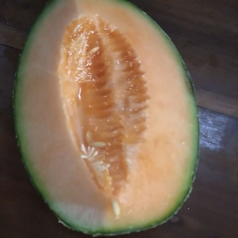 Buah Melon Orange kilogram