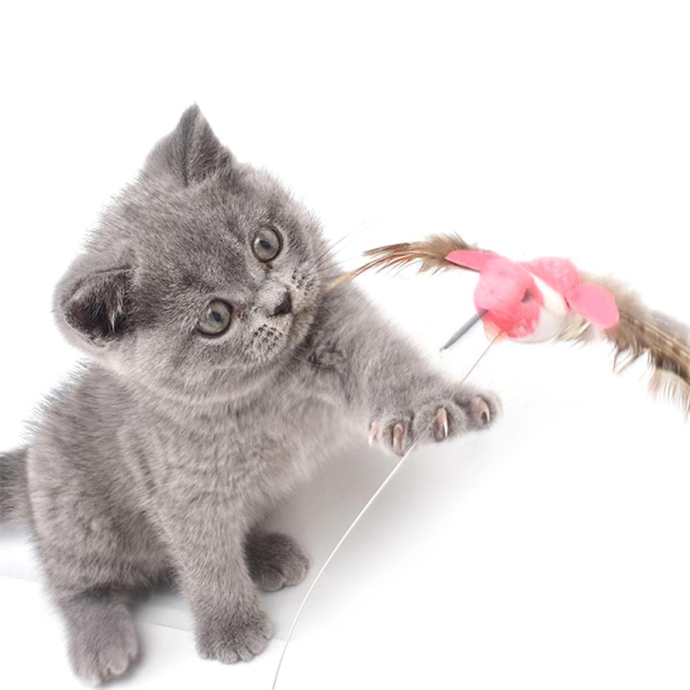 Timekey Mainan Butterfly Bird Elektrik Otomatis Bahan Plastik Warnawarni Untuk Kucinganjing K1L1