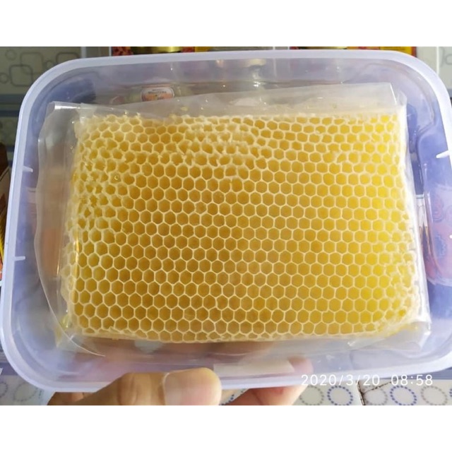 

Sarang Madu Asli