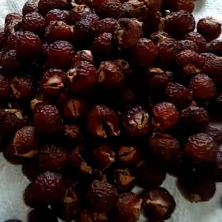 

Laris ↕ biji lerak daging tanpa biji 1KG kualitas super 52➬ (Ready stock)