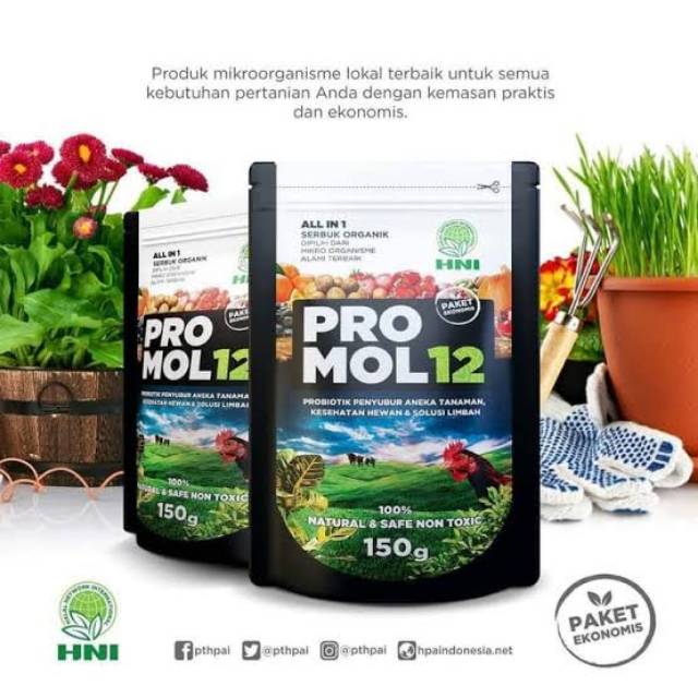 PROMOL12 HNI HPAI