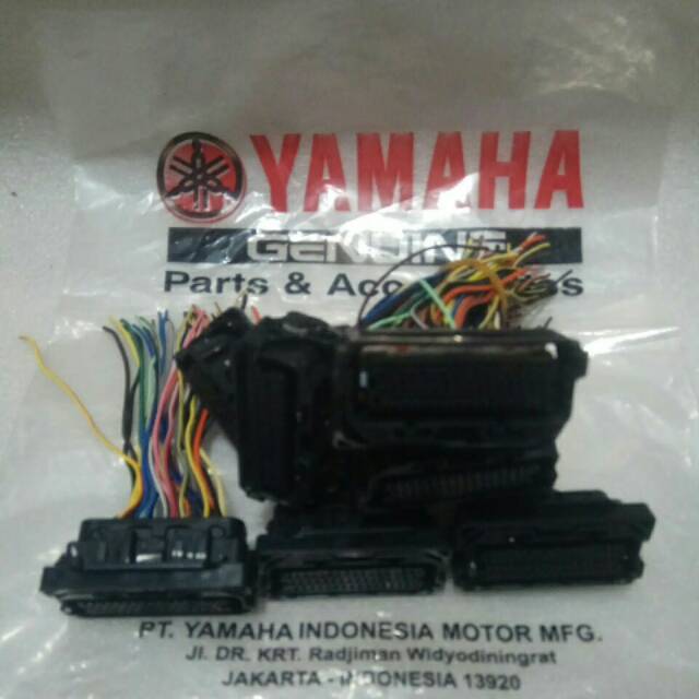 soket ECU ECM R 15 R25