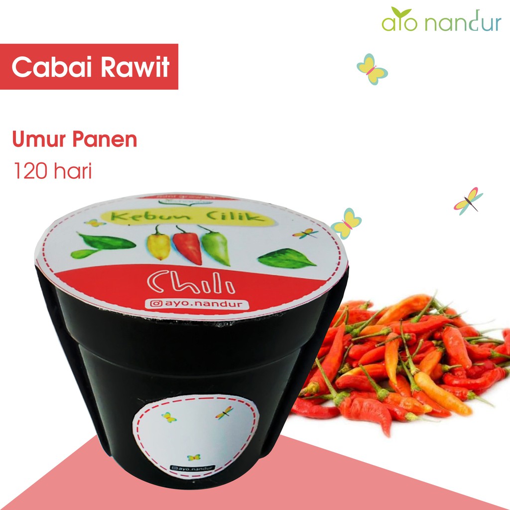 BIBIT TANAMAN CABE RAWIT CHILI BENIH SAYUR SAYURAN BERKEBUN (20 benih) Ayo Nandur Kebun Cilik