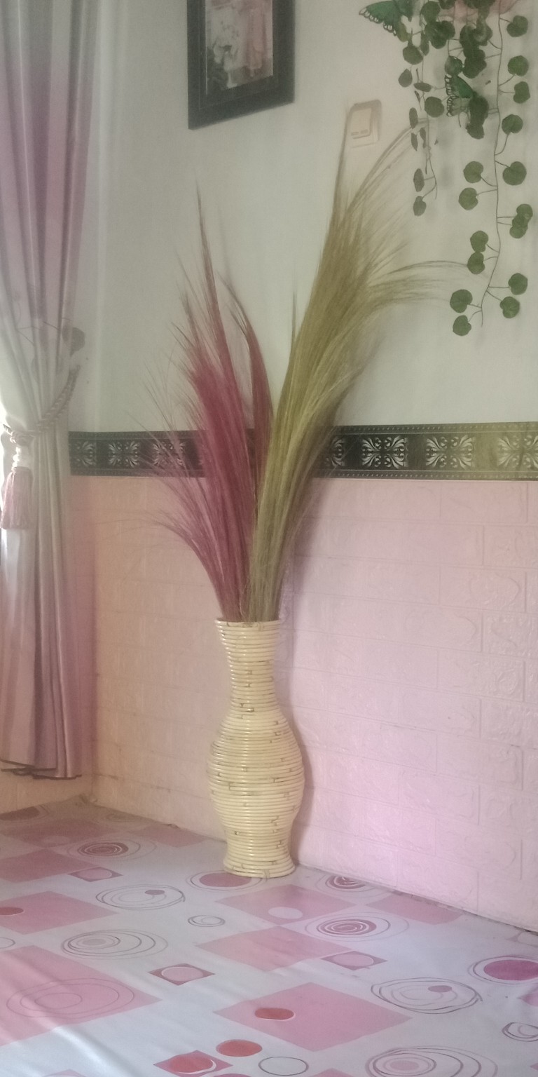 Daun Palm Kering Ukuran 30cm | Dried Palm Leaves | Dried Flowers