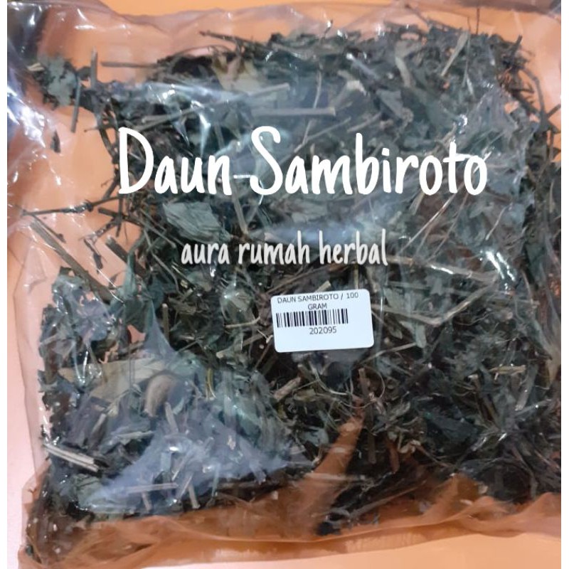 

DAUN SAMBILOTO-SAMBIROTO KERING 100gr