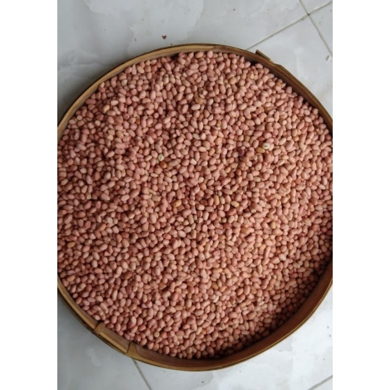 

kacang tanah, kacang madura, kacang bumbu sate, kacang mentah, kacang madura