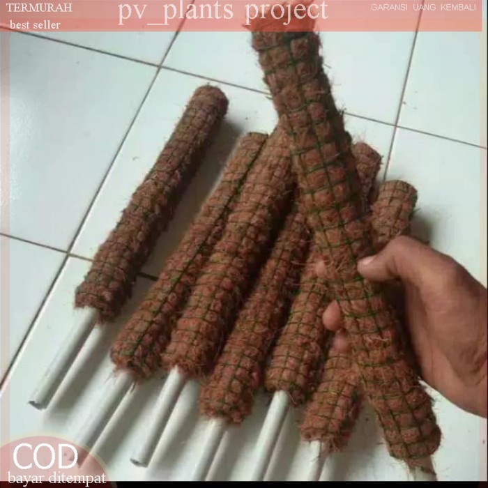 turus tiang penyangga tanaman 30cm