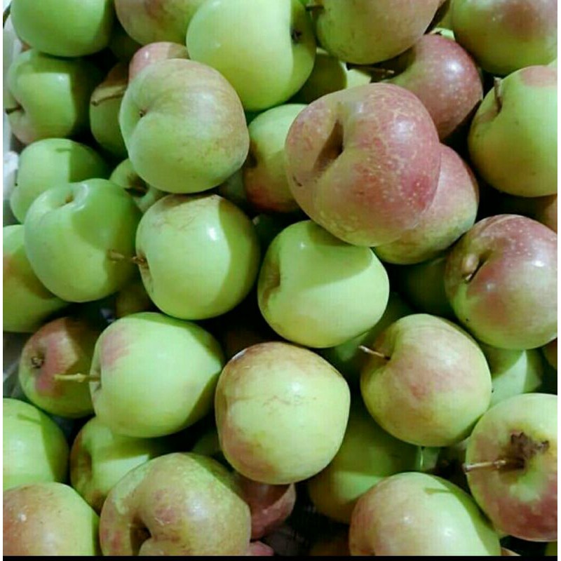 

Apel malang/mana lagi fresh 1 kg