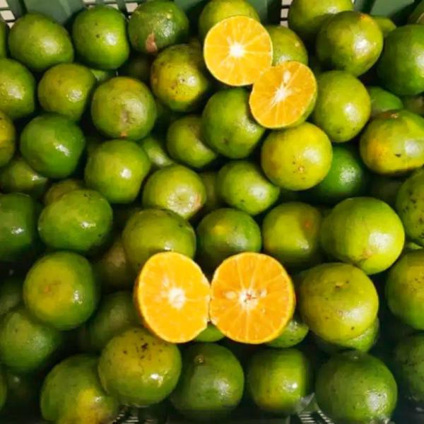 

JERUK PERAS PER 1 KG