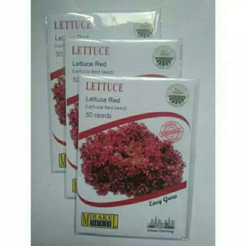 

LETTUCE satu pcs isi 50 biji