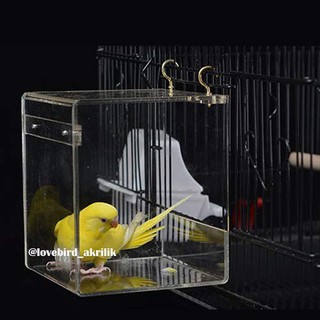 Tempat mandi burung tempat mandi burung lovebird tempat Tempat mandi burung tempat mandi burung lovebird tempat